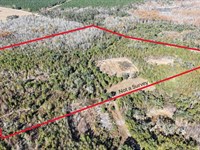 Hunter's Paradise, 57 Acres of Pri : Madison : Florida