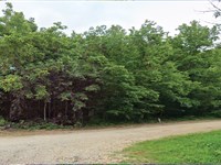 Build Your Home, Prime 0.15 Acre : Williford : Sharp County : Arkansas