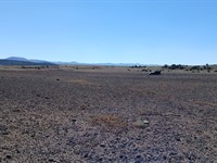 Enjoy Watching The Beautiful Stars : Concho : Apache County : Arizona