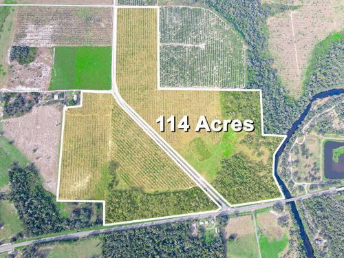 Peace River Mixed-Use Development : Wauchula : Hardee County : Florida