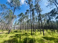 Bear Creek Farms : Mount Vernon : Montgomery County : Georgia