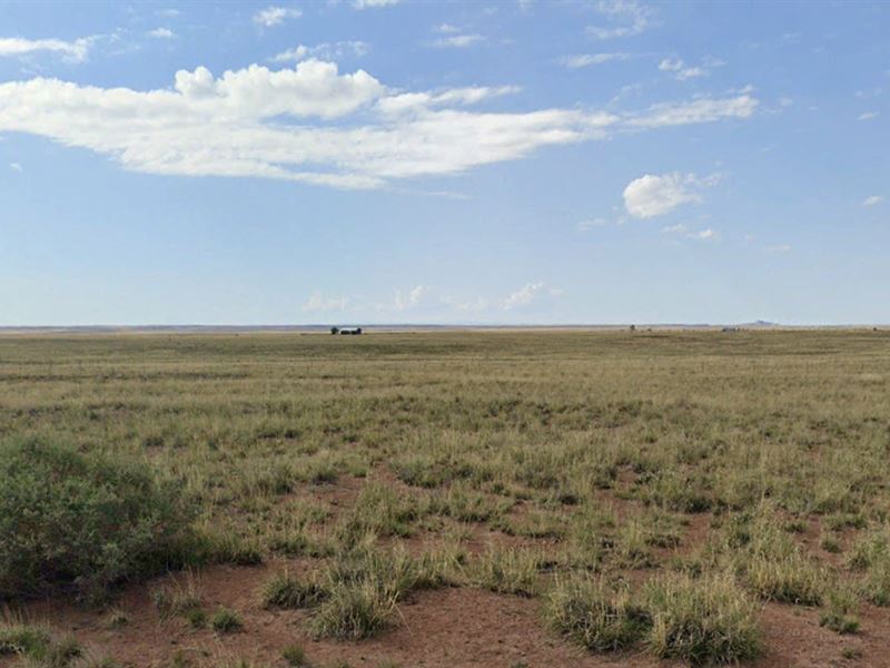 Grab 1.25 Acre Lot for $47 Down : Sun Valley : Navajo County : Arizona