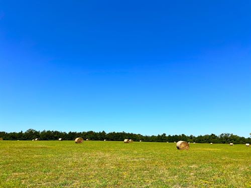 3-057 Hope Hull Transitional Land : Hope Hull : Montgomery County : Alabama