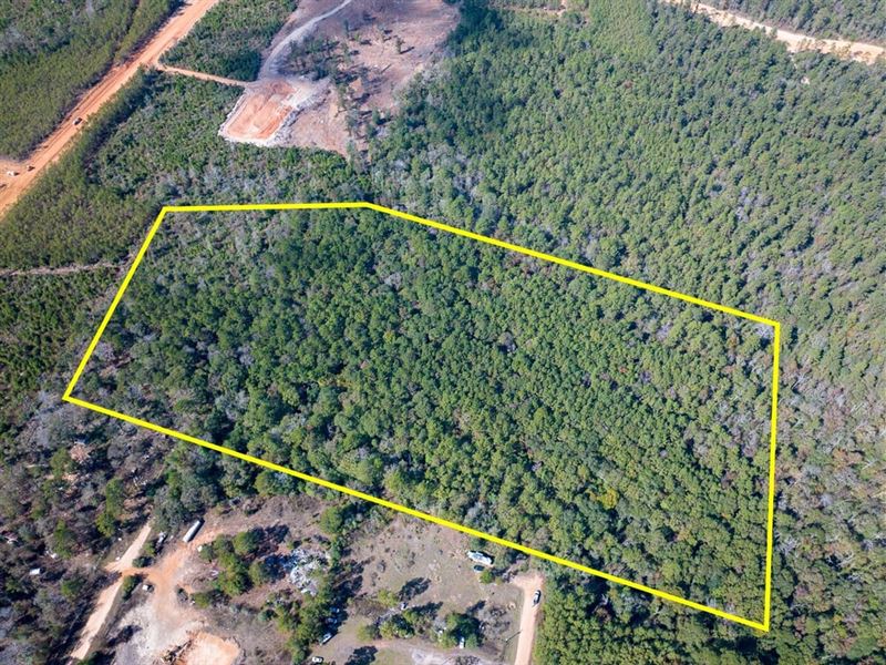 21.5 Acres, Mendez Road : Willis : Montgomery County : Texas