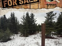 4 Lots on Chamberlain Ave : Ninilchik : Kenai Peninsula Borough : Alaska