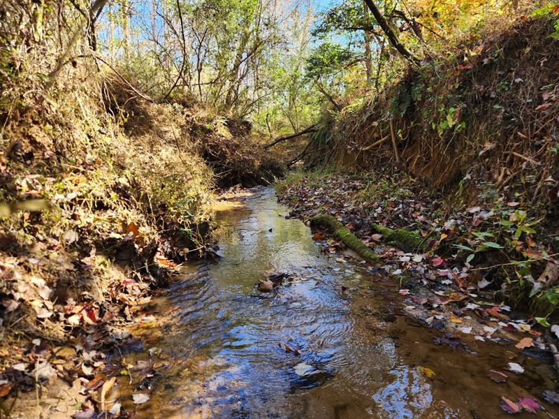 18Ac, 701 Moravian Falls Rd WI : Wilkesboro : Wilkes County : North Carolina