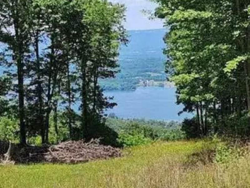 Discover 3.47 Acres of Beautiful : South Pittsburg : Marion County : Tennessee