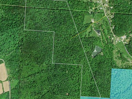 Bull Creek Rd, 126 Acres : Kingston : Ross County : Ohio