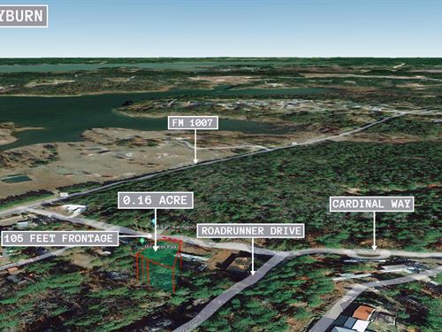 .16 Acre in Brookeland, $250/Mo : Brookeland : Jasper County : Texas