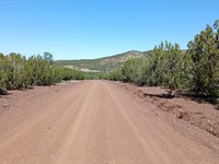 Build Your Future Own This Land : Vernon : Apache County : Arizona