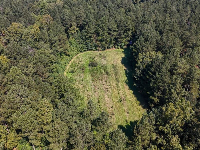 Brushy Creek Tract : Union : Union County : South Carolina