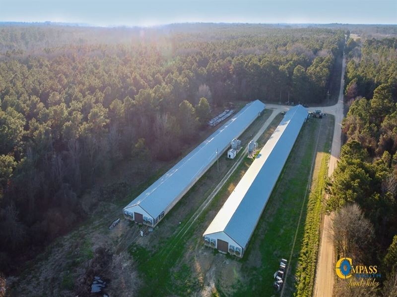 Taylor Road Poultry Farm : Rison : Cleveland County : Arkansas