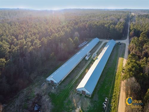 Taylor Road Poultry Farm : Rison : Cleveland County : Arkansas
