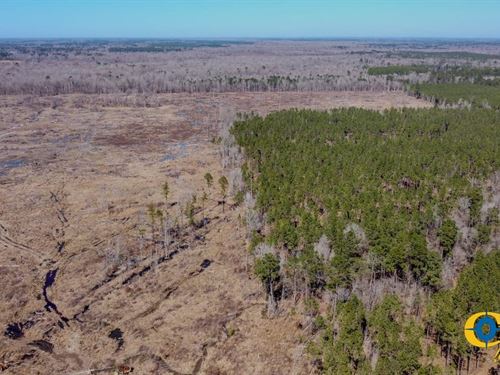 Hudgin Creek Ii : Wilmar : Drew County : Arkansas
