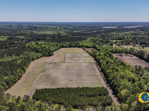 Fender Farm : Walterboro : Colleton County : South Carolina