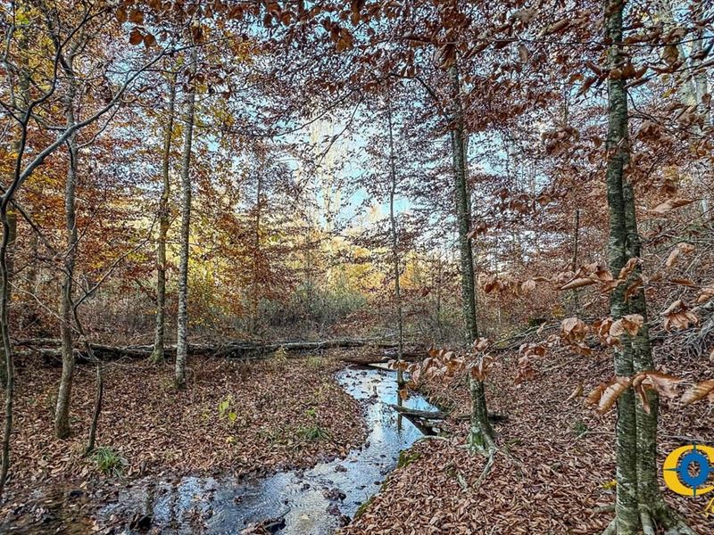 Lick Creek Retreat 1 : Linden : Perry County : Tennessee