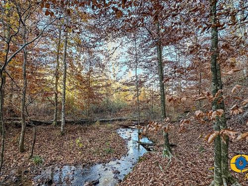 Lick Creek Retreat 1 : Linden : Perry County : Tennessee