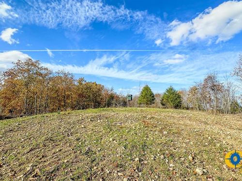 Lick Creek Retreat 2 : Linden : Perry County : Tennessee