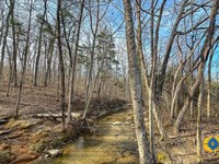 Hillard Branch Retreat : Parsons : Decatur County : Tennessee