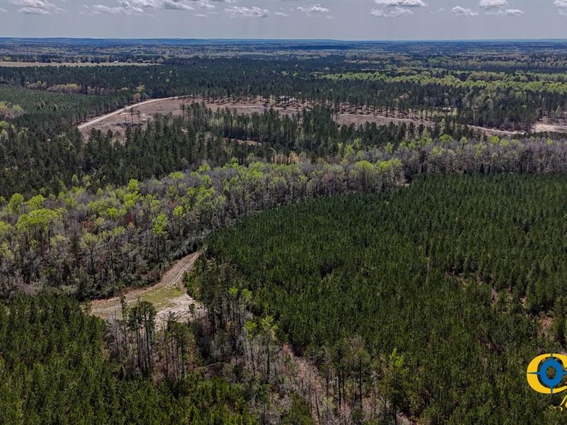 Hill Top Road Tract : Camden : Kershaw County : South Carolina