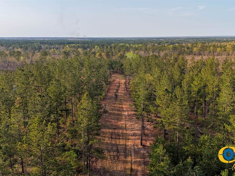 White Pond Ridge Estate : Williston : Aiken County : South Carolina