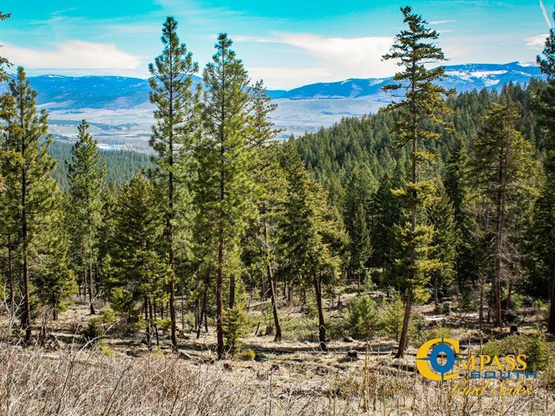 Blackjack Tract : Plains : Sanders County : Montana