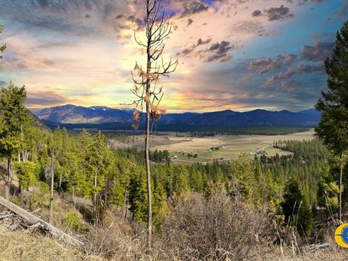 Blackjack Tract : Plains : Sanders County : Montana