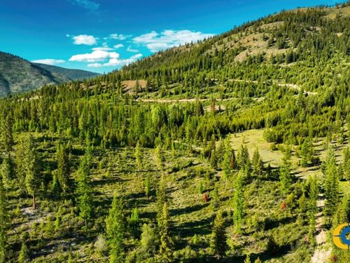 Houghton Creek Road Tract : Libby : Sanders County : Montana