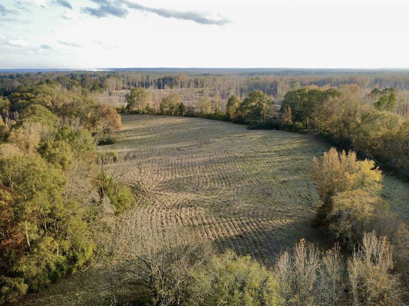 The Hidden Farm Retreat : Wesson : Copiah County : Mississippi