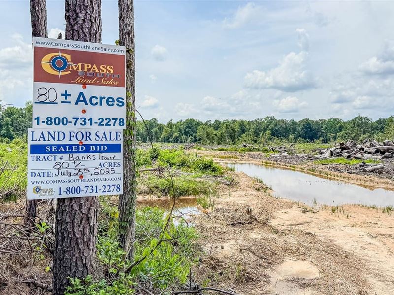 Banks Tract : Banks : Bradley County : Arkansas