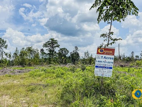 Jersey Tract : Jersey : Bradley County : Arkansas