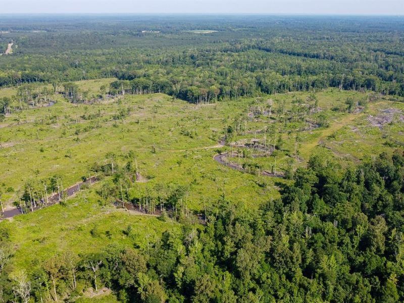 Hermitage Tract : Hermitage : Bradley County : Arkansas