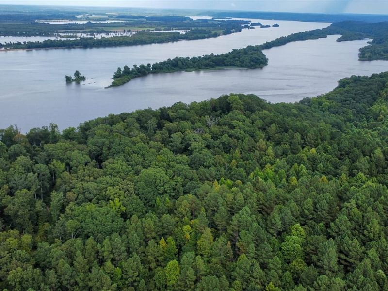 Tennessee River Ridge : Camden : Benton County : Tennessee