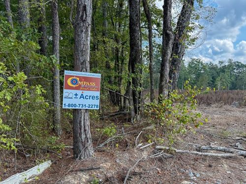 Ten Mile Creek : Rock Springs : Lincoln County : Arkansas