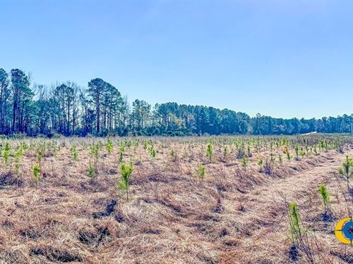 Bulloch Sands 12 : Statesboro : Bulloch County : Georgia