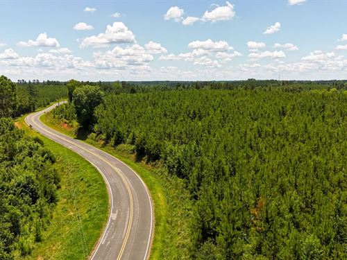 Ashford Ferry Tract : Chester : South Carolina