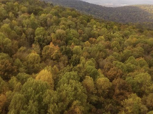 91.53 Acres in Grundy County, TN : Tracy City : Grundy County : Tennessee
