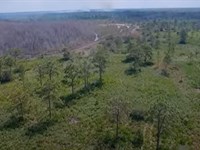 Fun All Year Round with This Lot : Frostproof : Polk County : Florida