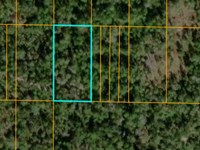 Fun All Year Round with This Lot : Frostproof : Polk County : Florida