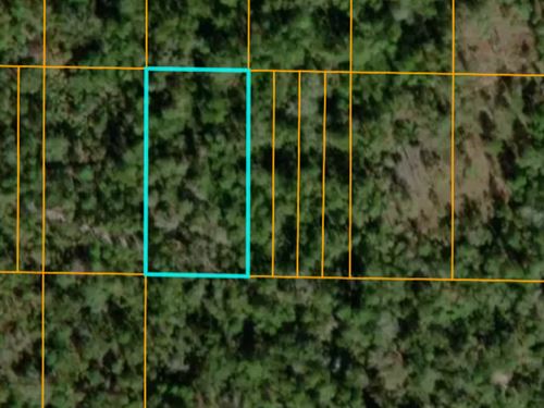 Diversion Todo el Ano Con Este Lote : Frostproof : Polk County : Florida