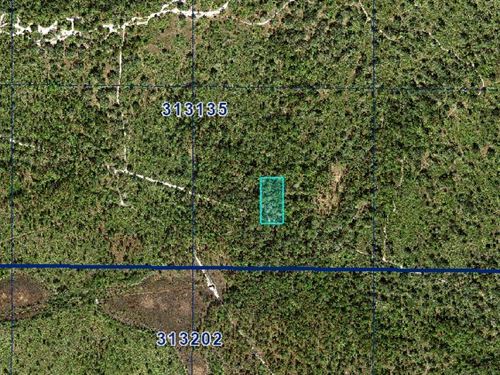 Diversao o Ano Todo Com Este Lote : Frostproof : Polk County : Florida