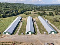 Income Producing Poultry Operation : Mulberry : Franklin County : Arkansas