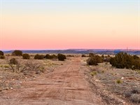 Desert Lot with Power : Garita : San Miguel County : New Mexico