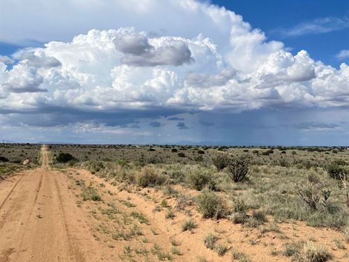 Desert Sunshine & Milky Way Views : Rio Rancho : Sandoval County : New Mexico