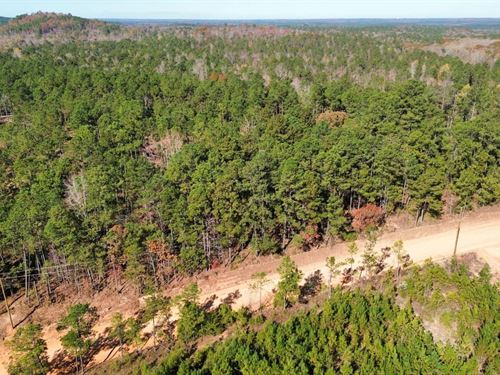 5 Acres Lee County, AL : Salem : Lee County : Alabama