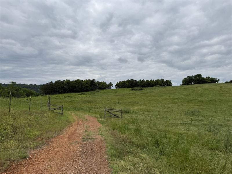 59 Acre Recreational/Livestock Farm : Attalla : Etowah County : Alabama