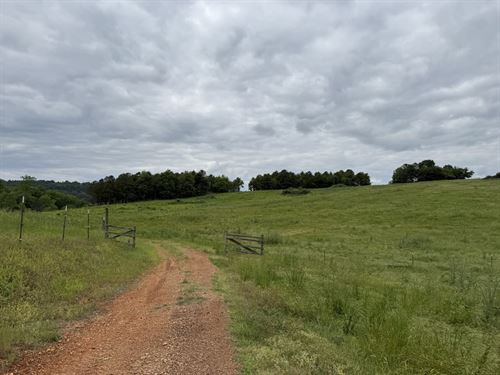 59 Acre Recreational/Livestock Farm : Attalla : Etowah County : Alabama