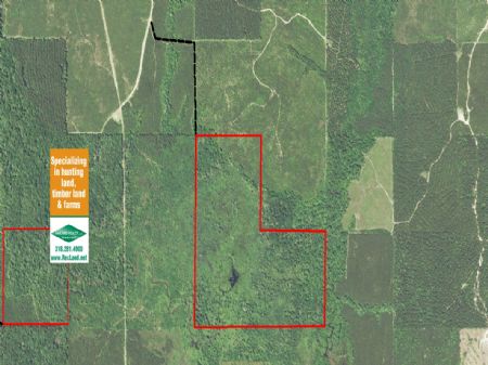 122 Acres Hunting/timber : Chatham : Jackson Parish : Louisiana