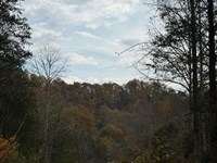 Private 32+ Acre Getaway With Unfin : Whitleyville : Jackson County : Tennessee