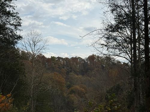 Private 32+ Acre Getaway With Unfin : Whitleyville : Jackson County : Tennessee